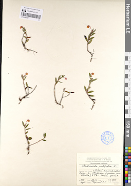 LE 01097687