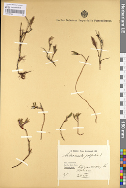 LE 01097692