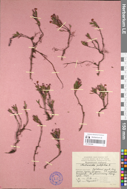 LE 01097699