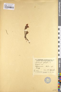 LE 01097701