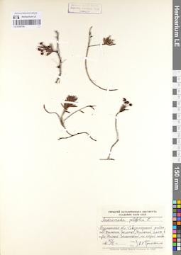 LE 01097704