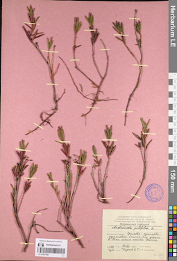 LE 01097708