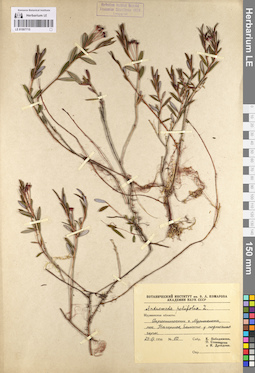 LE 01097715