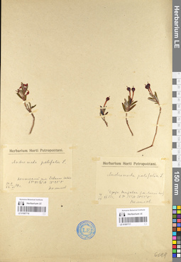 LE 01097716