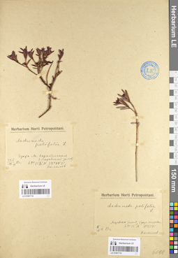 LE 01097719