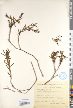 LE 01097720
