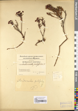 LE 01097722