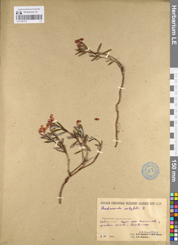 LE 01097723