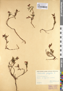LE 01097726
