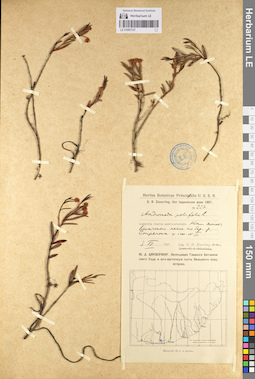 LE 01097727