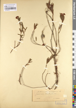 LE 01097729