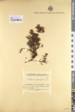 LE 01097731