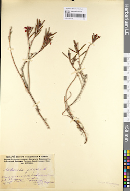 LE 01097732