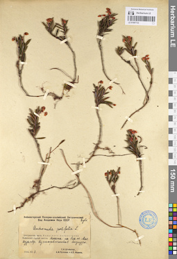 LE 01097733