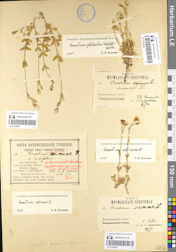 LE 01104943