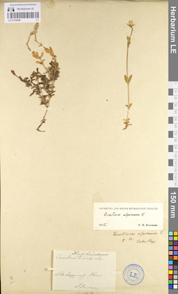 LE 01104946