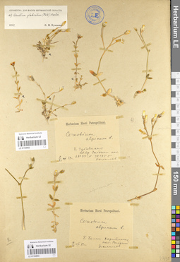 LE 01104953