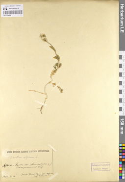 LE 01104954