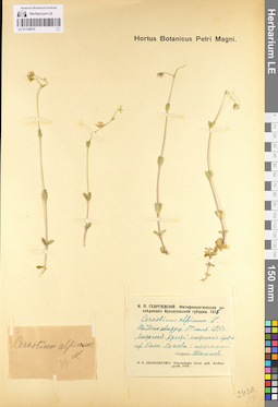 LE 01104970