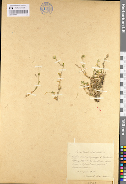 LE 01104980