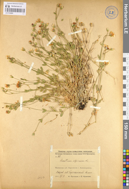 LE 01104995