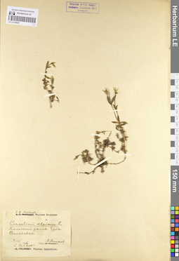 LE 01105002