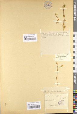 LE 01105007