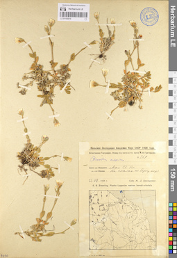 LE 01105019