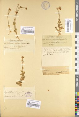 LE 01105023