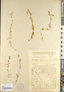 LE 01105030