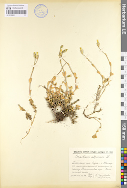 LE 01105032