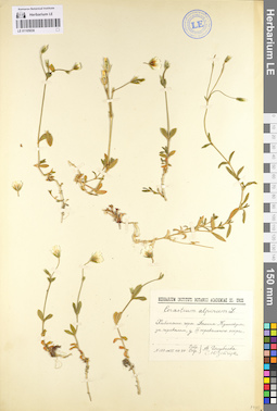 LE 01105036