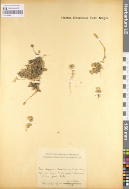 LE 01105048