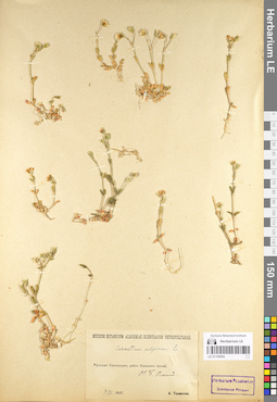 LE 01105054