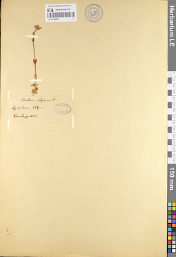 LE 01105056
