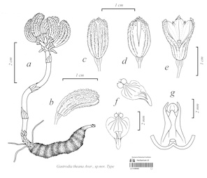 LE 01089463