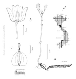 LE 01089465