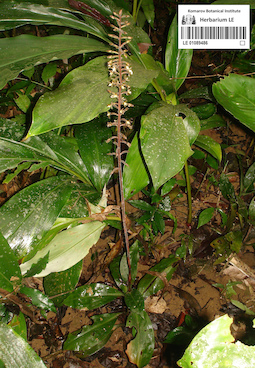 LE 01089486
