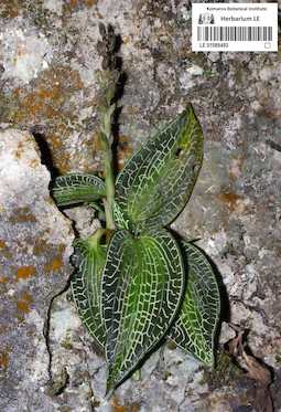 LE 01089493