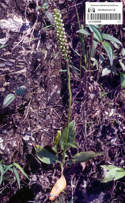 LE 01089498