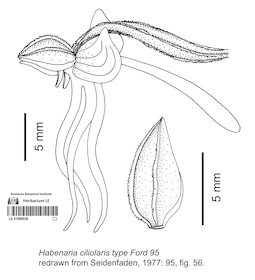 LE 01089536