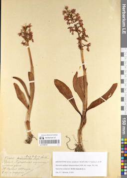 LE 01060167