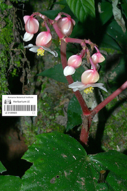 LE 01089605