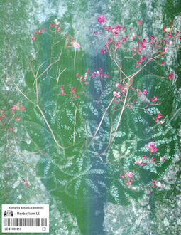 LE 01089613