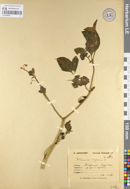 LE 01099793