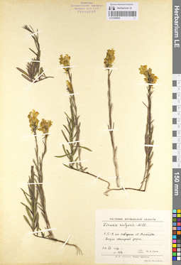 LE 01099836