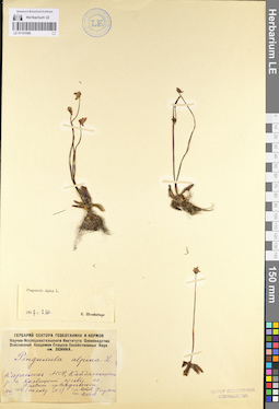 LE 01101066