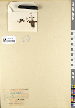 LE 01101067