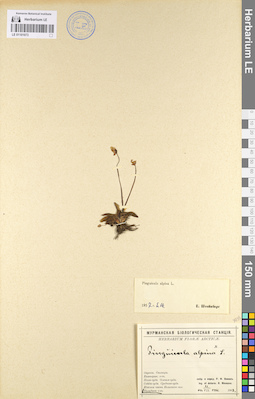 LE 01101073
