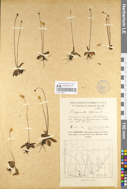 LE 01101082